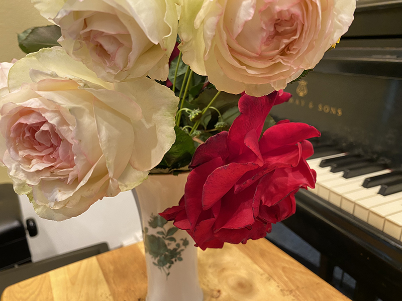 piano and roses